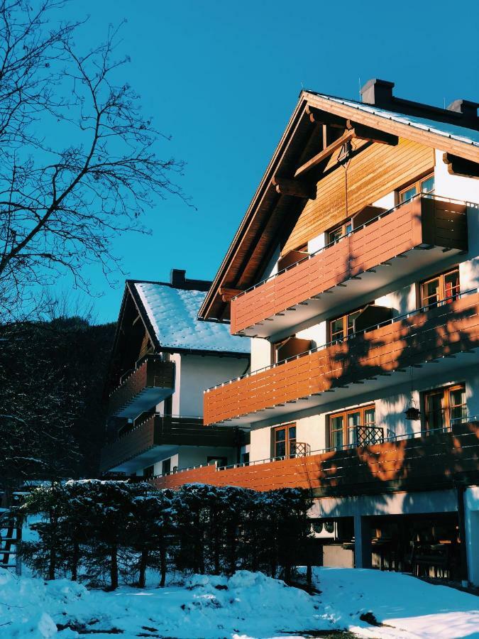 Dachstein View Ski Apartment ゴーザウ エクステリア 写真