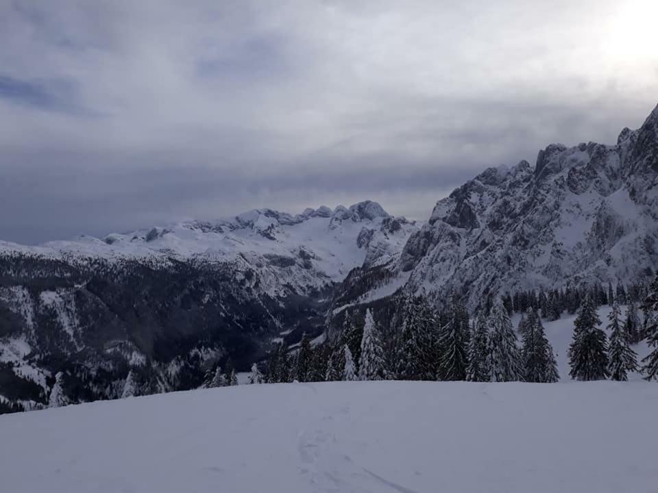 Dachstein View Ski Apartment ゴーザウ エクステリア 写真