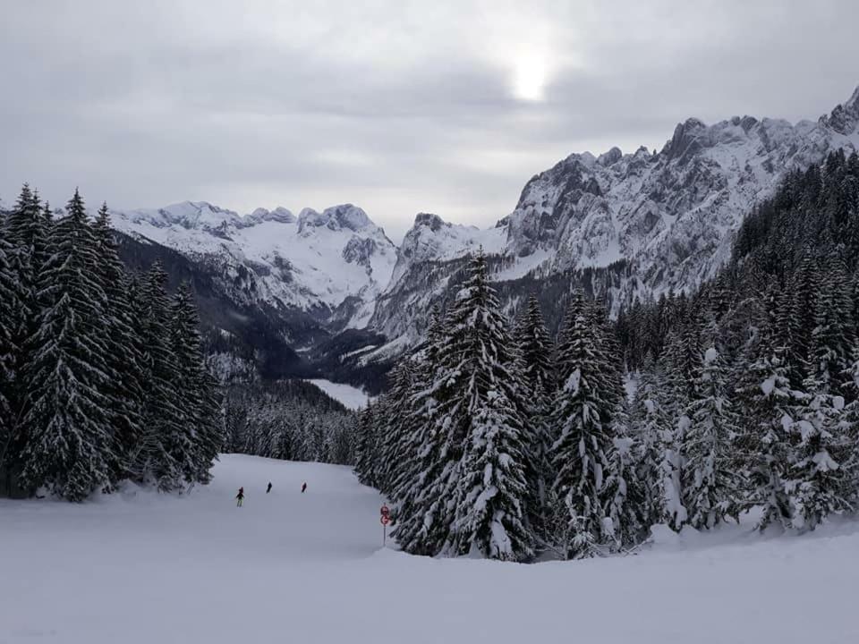 Dachstein View Ski Apartment ゴーザウ エクステリア 写真