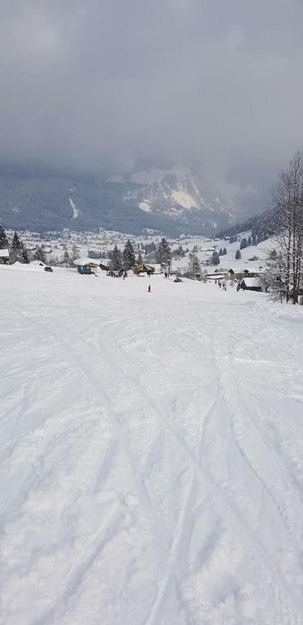 Dachstein View Ski Apartment ゴーザウ エクステリア 写真