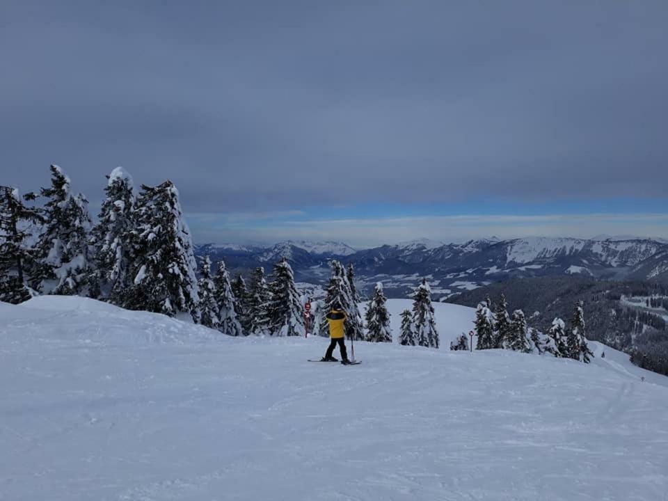 Dachstein View Ski Apartment ゴーザウ エクステリア 写真
