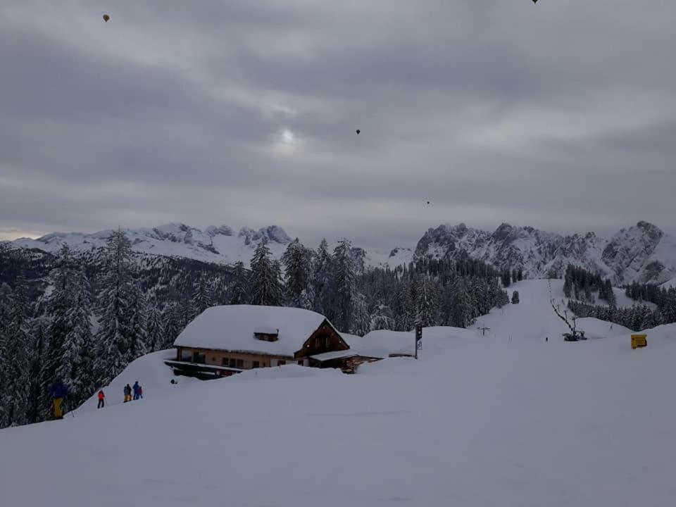 Dachstein View Ski Apartment ゴーザウ エクステリア 写真
