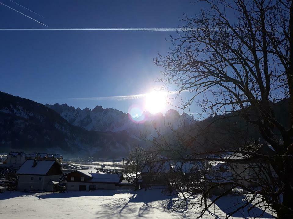 Dachstein View Ski Apartment ゴーザウ エクステリア 写真